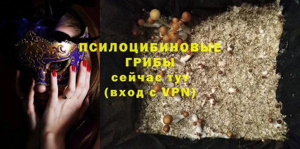 mdpv Горно-Алтайск