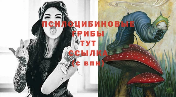 mdpv Горно-Алтайск