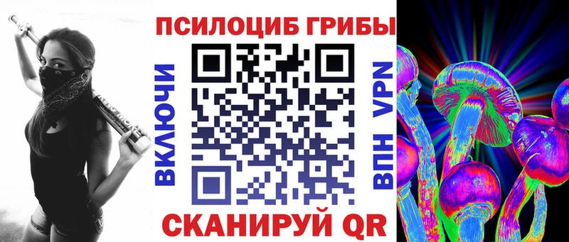Галлюциногенные грибы Cubensis  сайты даркнета какой сайт  omg зеркало  Иваново  где купить наркоту 